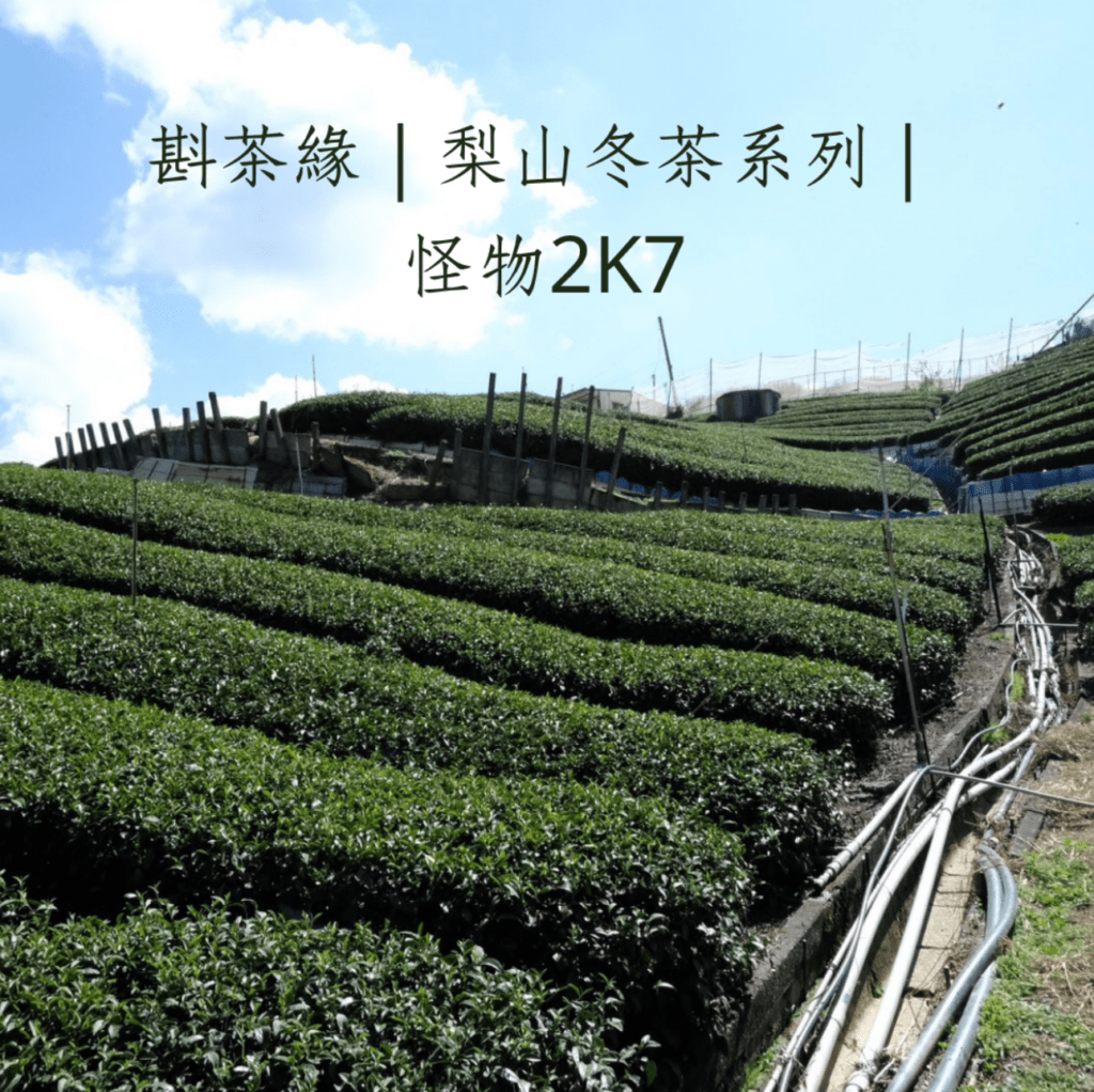 梨山茶區介紹｜新茶園 2：梨山 2K7（276 號）