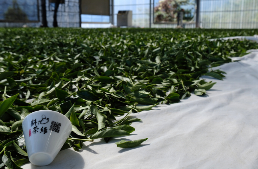 Li-Shan Tea