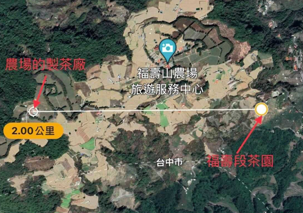 梨山茶是什麼茶?
福壽段
