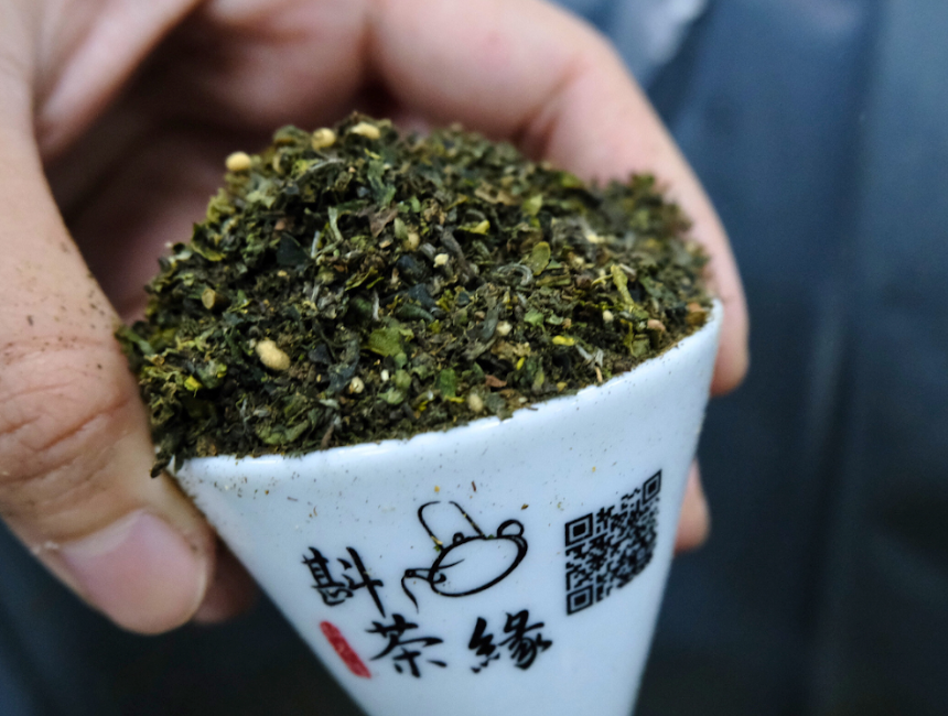 梨山茶